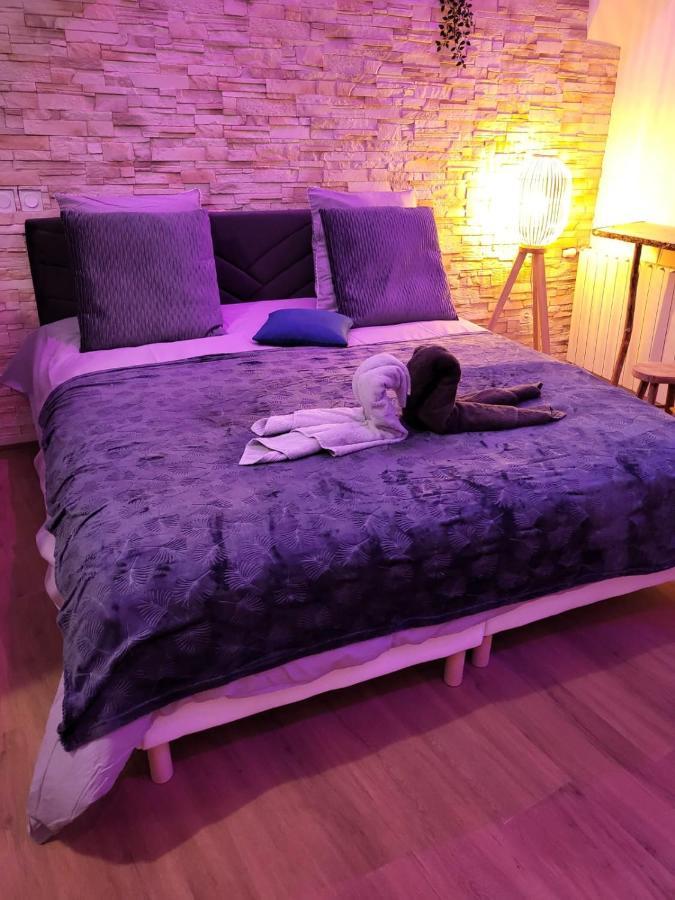 Le Spa De La Cathedrale - Jacuzzi - Sauna - Champagne - Netflix - Wifi Troyes Eksteriør billede
