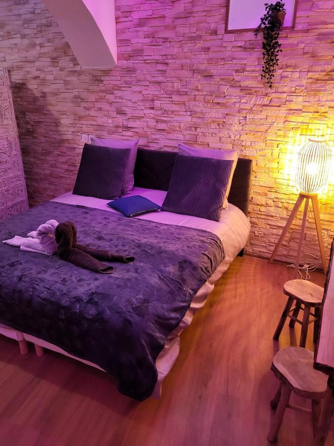 Le Spa De La Cathedrale - Jacuzzi - Sauna - Champagne - Netflix - Wifi Troyes Eksteriør billede