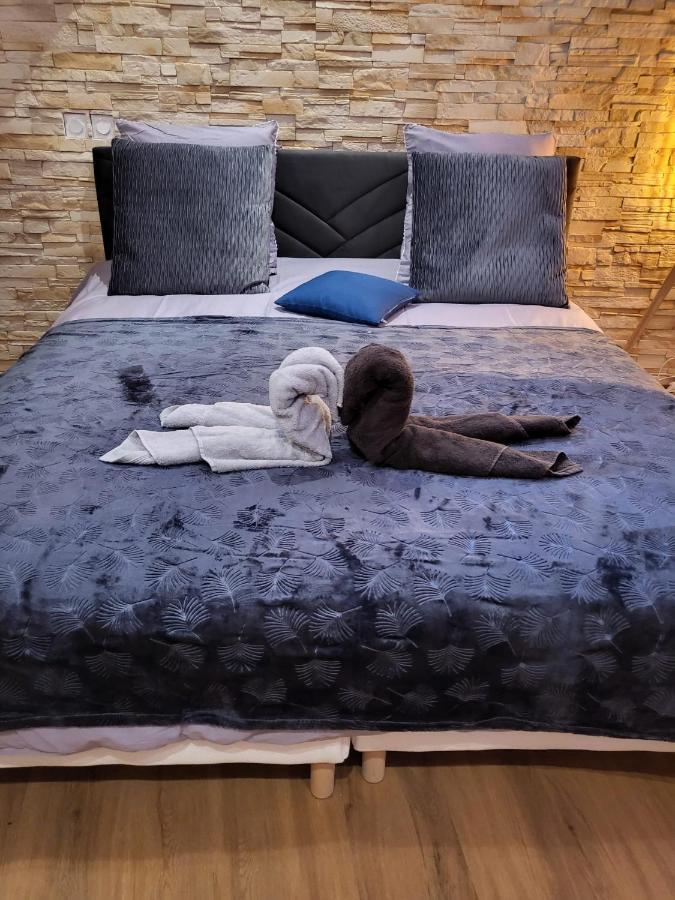 Le Spa De La Cathedrale - Jacuzzi - Sauna - Champagne - Netflix - Wifi Troyes Eksteriør billede