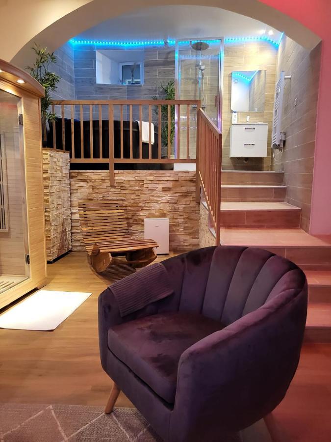 Le Spa De La Cathedrale - Jacuzzi - Sauna - Champagne - Netflix - Wifi Troyes Eksteriør billede