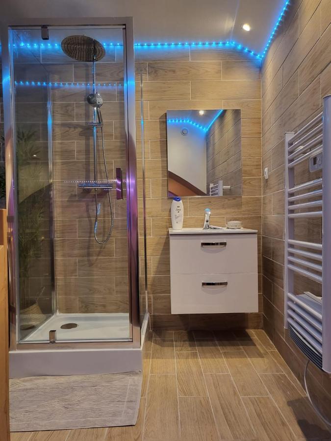 Le Spa De La Cathedrale - Jacuzzi - Sauna - Champagne - Netflix - Wifi Troyes Eksteriør billede