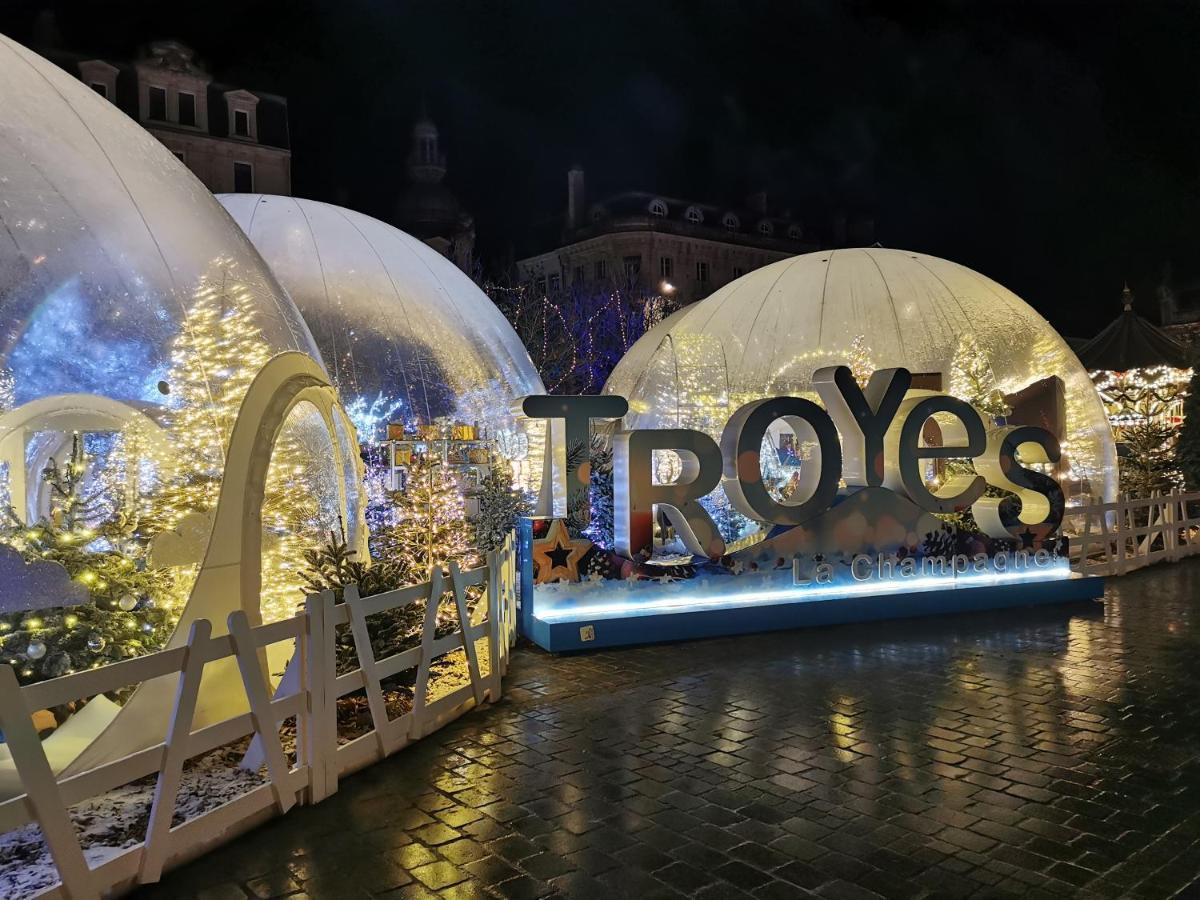 Le Spa De La Cathedrale - Jacuzzi - Sauna - Champagne - Netflix - Wifi Troyes Eksteriør billede