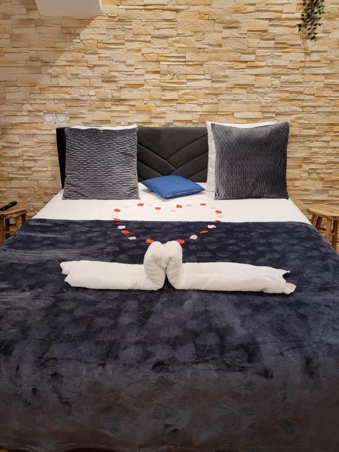 Le Spa De La Cathedrale - Jacuzzi - Sauna - Champagne - Netflix - Wifi Troyes Eksteriør billede